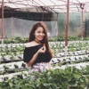 CHỊ VÂN